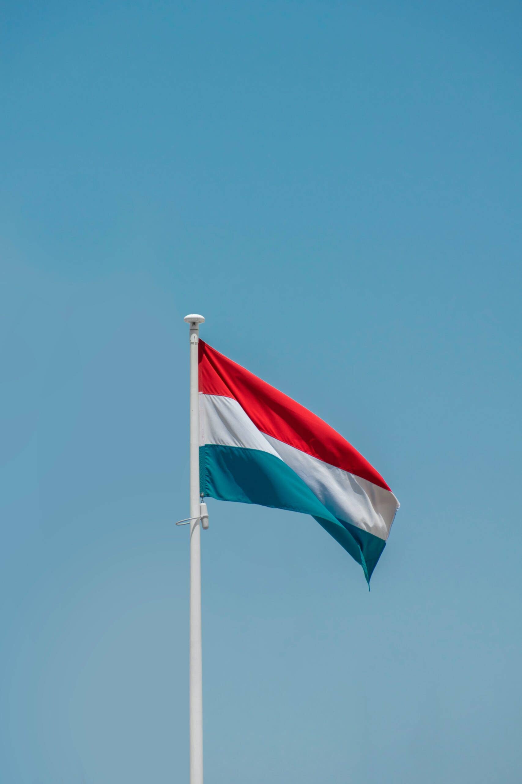 flemenkce-uyum-sinavi